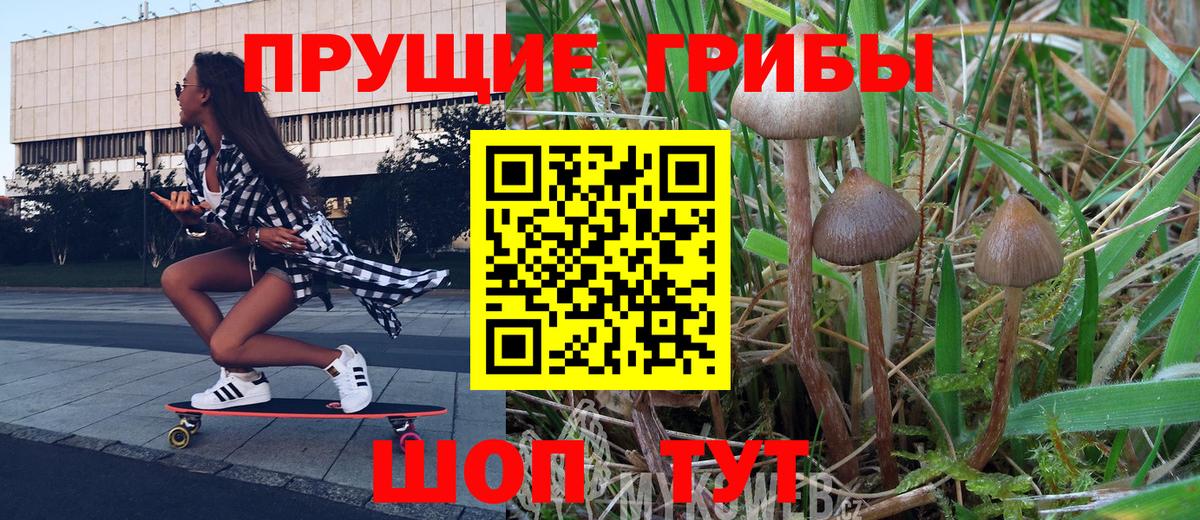Псилоцибиновые грибы GOLDEN TEACHER Альметьевск