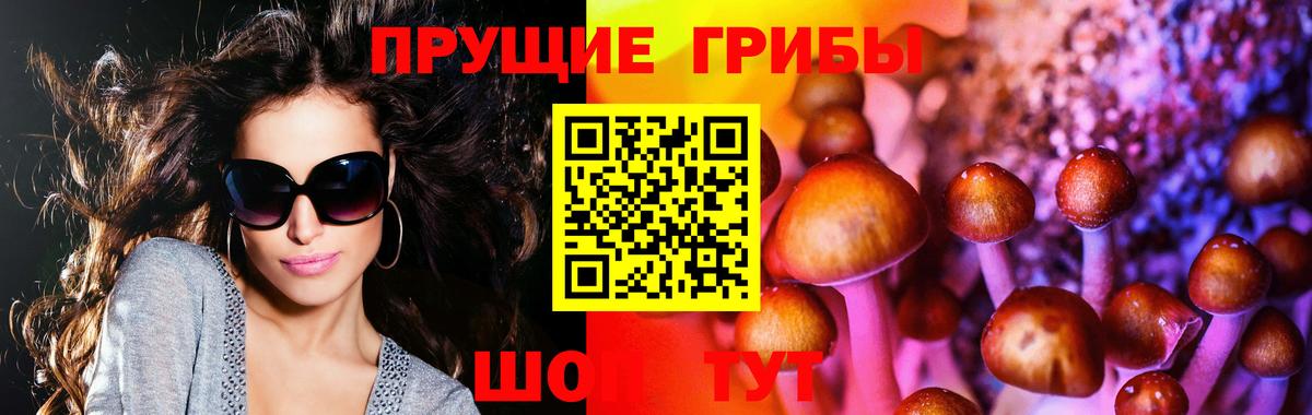 Галлюциногенные грибы ЛСД  дарнет шоп  Галлюциногенные грибы Psilocybine cubensis  Альметьевск  Вход с VPN 
